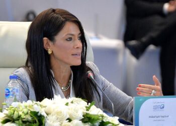 Development partners’ fund to Egypt low cost, repaid over long periods – minister