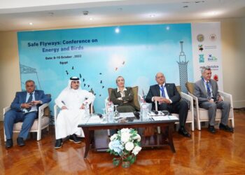 Egypt keen to address bird migration, biodiversity at COP27, says min.