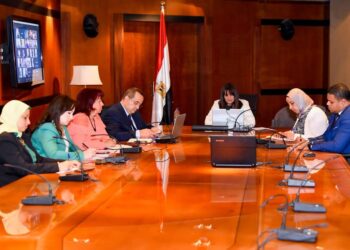 Initiative of “An hour with the minister” aims to get briefed on needs of Egyptian expats: Emigration min.