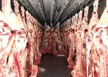 Awqaf to distribute 600 tonnes of meat among needy families under Sisi’s directives