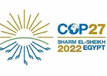 China wishes success to Egypt in hosting COP 27
