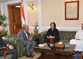 Egypt, UAE discuss boosting economic, investment co-operation