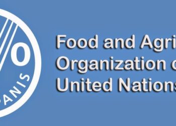FAO lauds Egypt’s remarkable efforts in climate change issue
