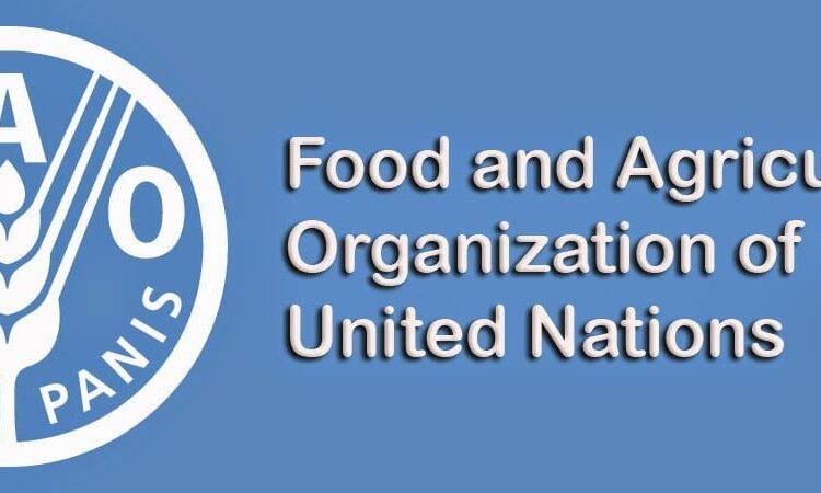 FAO lauds Egypt's remarkable efforts in climate change issue 1 - Egyptian Gazette