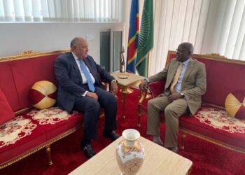 Egypt, Congo FMs discuss ways to boost bilateral ties