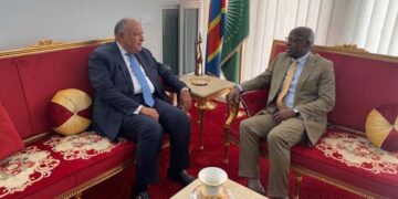 Egypt, Congo FMs discuss ways to boost bilateral ties