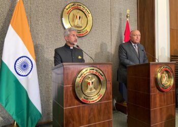 Shoukry, Indian FM stress depth of bilateral ties in various domains