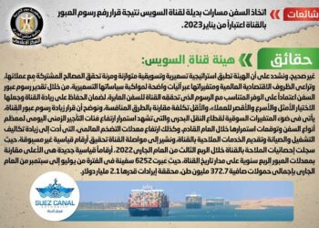 Gov’t denies news of ships taking different routes than Suez Canal