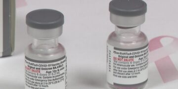 Pfizer, BioNTech find updated COVID booster protects against Omicron in trial 1 - Egyptian Gazette Pfizer, BioNTech find updated COVID booster protects against Omicron in trial