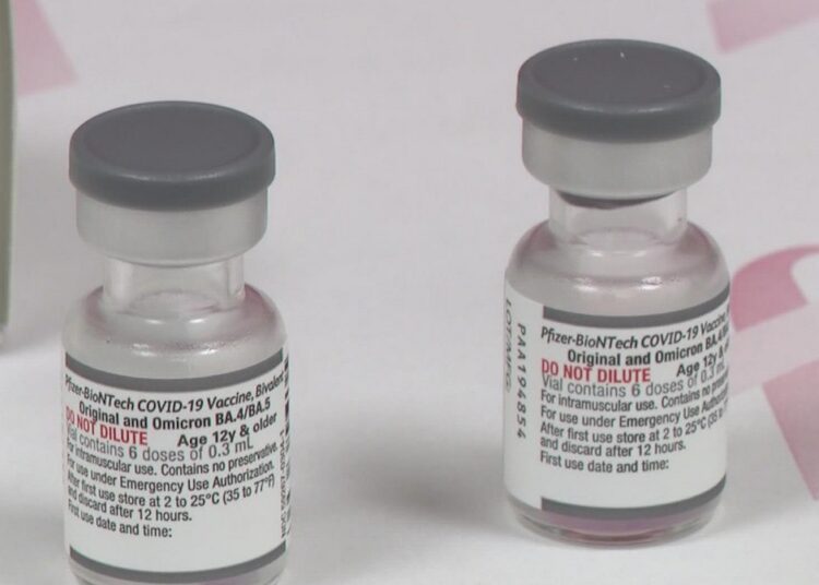 Pfizer, BioNTech find updated COVID booster protects against Omicron in trial 1 - Egyptian Gazette Pfizer and its German partner BioNTech said their COVID-19 vaccine booster, adapted for the BA.4 and the BA.5 subvariants of Omicron, generated a strong immune response and was well-tolerated in testing on humans.