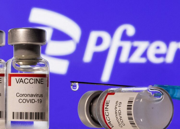 Pfizer to price COVID vaccine at $110-$130 per dose 1 - Egyptian Gazette Pfizer Inc expects to charge about $110 to $130 per dose for its COVID-19 vaccine.