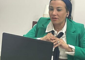 Fouad launches initiative to accelerate climate finance