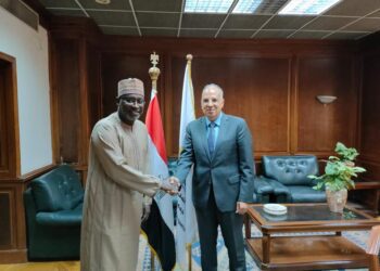 Irrigation min. asserts Egypt’s keenness on supporting development in African countries