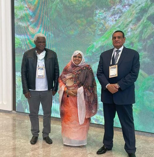 Local development min., UCLGA delegation discuss COP27 preparations 1 - Egyptian Gazette