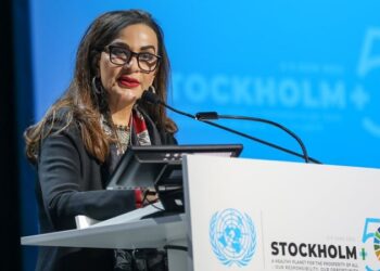 Cop27 movers and shakers: 9 people shaping the climate agenda