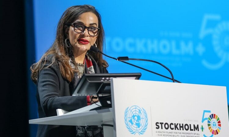 Cop27 movers and shakers: 9 people shaping the climate agenda 2 - Egyptian Gazette Cop27 movers and shakers: 9 people shaping the climate agenda 1 - Egyptian Gazette