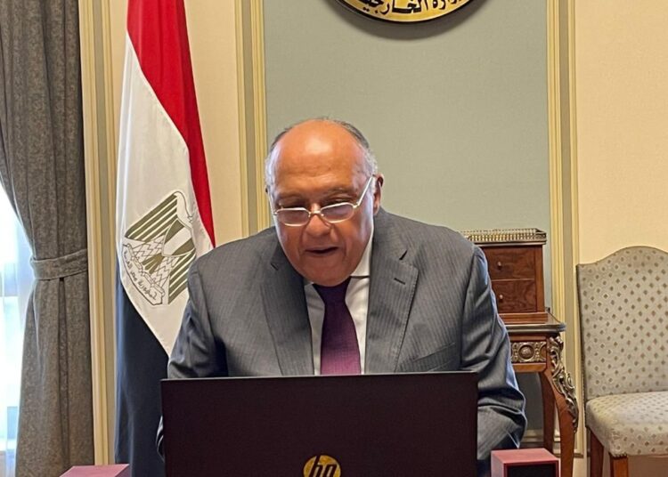 Foreign Minister Sameh Shoukri chairing the first meeting of the Friends of COP27 group, which was held virtually on Wednesday.