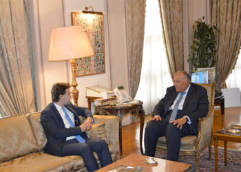 Shoukry holds talks with Moldova FM