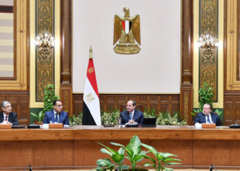 Sisi meets delegation of businessmen, investors