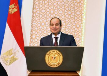 Sisi: Egypt-UAE ties ideal example for good, strong relations