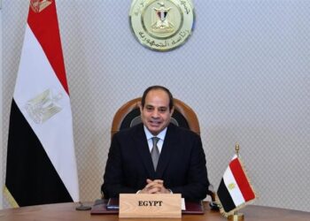 Sisi lauds deeply-rooted relations with South Korea