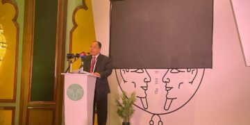 Finance min. says Sisi reshaping Egypt’s economy
