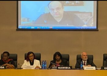 Egypt joins hands with AU to determine COP27 priorities