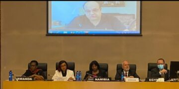 Egypt joins hands with AU to determine COP27 priorities