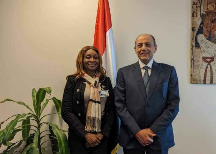 Africa and sustainable development 2 - Egyptian Gazette Africa and sustainable development 1 - Egyptian Gazette