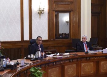 PM, health minister probe national strategy for developing Egyptian family