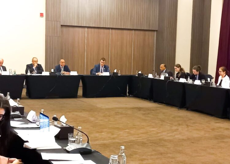 Mohieldin: it is necessary to link climate finance with SDGs 2 - Egyptian Gazette Mohieldin: it is necessary to link climate finance with SDGs 1 - Egyptian Gazette