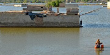 WB spent almost $15 bn on fossil fuel projects since Paris deal