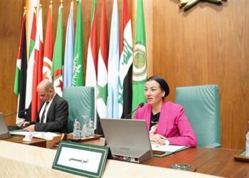 Fouad calls for rallying efforts to protect Arab environment, development rights