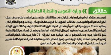 Gov't denies increasing price of subsidized bread as of Nov. 1 - Egyptian Gazette Gov’t denies increasing price of subsidized bread as of Nov.