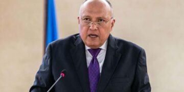 Shoukry to hold separate meetings with India, Congo FMs on Saturday