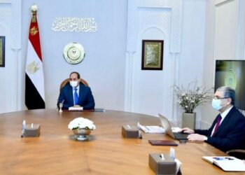 Sisi appraises power projects, reviews national food supplies