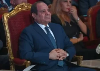 Sisi attends launching of Tiba 1 satellite services via video conf.