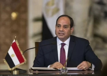 Sisi pardons Ziyad Eleimi