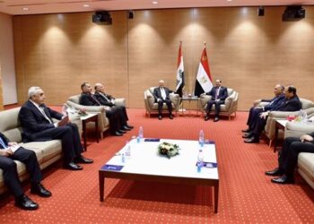 Egypt, Iraq agree on intensifying coordination to face challenges in region