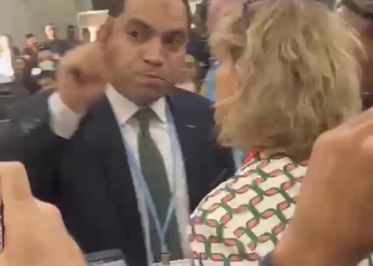 Amnesty International scorns free speech 1 - Egyptian Gazette