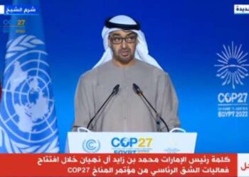 UAE president stresses before COP27 need for peace, ending war