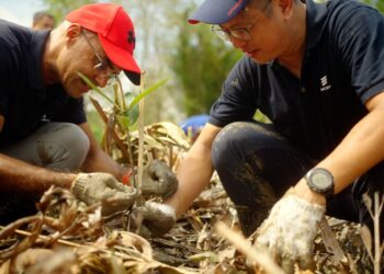 Ericsson introduces sustainable solutions of all kinds at COP27