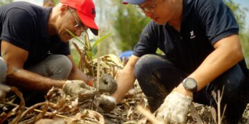 Ericsson introduces sustainable solutions of all kinds at COP27