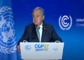 UN chief: Global adaptation finance needs set to grow to more than dlrs 300 bln by 2030