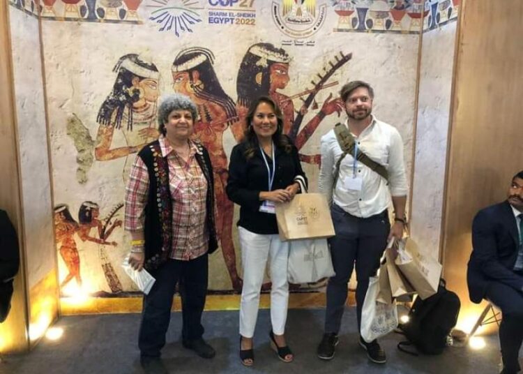 US Congress delegation visits Culture Ministry's pavilion in COP27 Green Zone 1 - Egyptian Gazette
