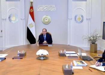 Sisi calls for optimal use of development funds
