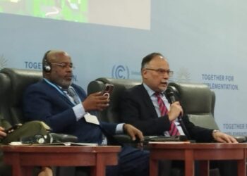 Gov’t prioritizing green investment to mitigate climate change impacts: Ahsan Iqbal