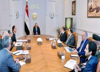 Sisi: SCZONE projects should focus on technological investments