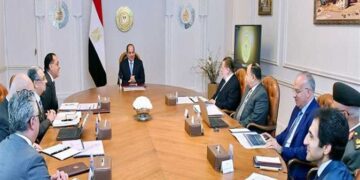 Sisi: SCZONE projects should focus on technological investments