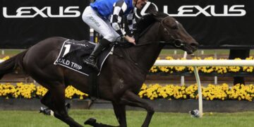 Gold Trip wins the 2022 Melbourne Cup